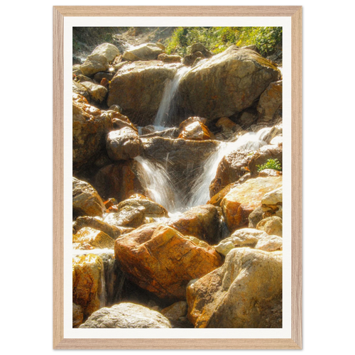 06ab81bc-b7cb-4b2d-9b42-22d1c839552f