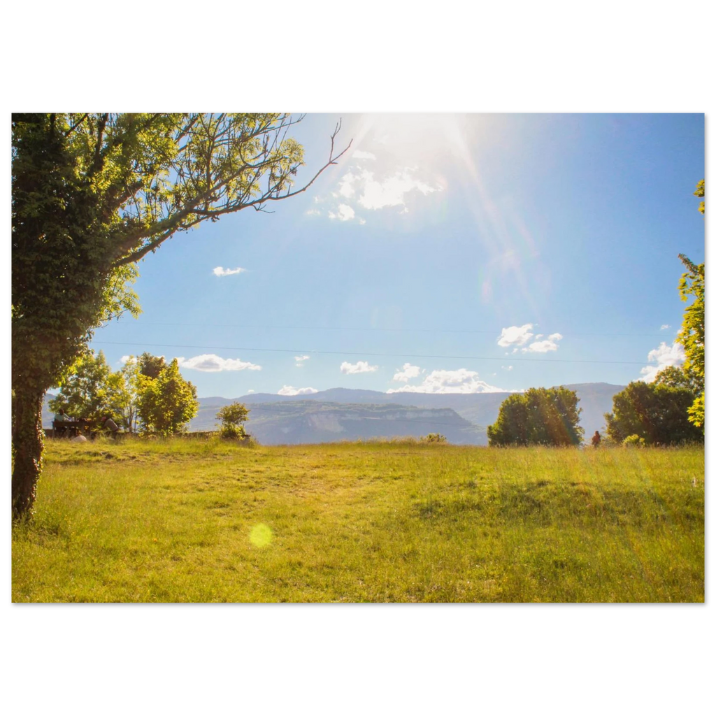 08e015b8-904b-49c8-bf3a-c52db62b9dc8