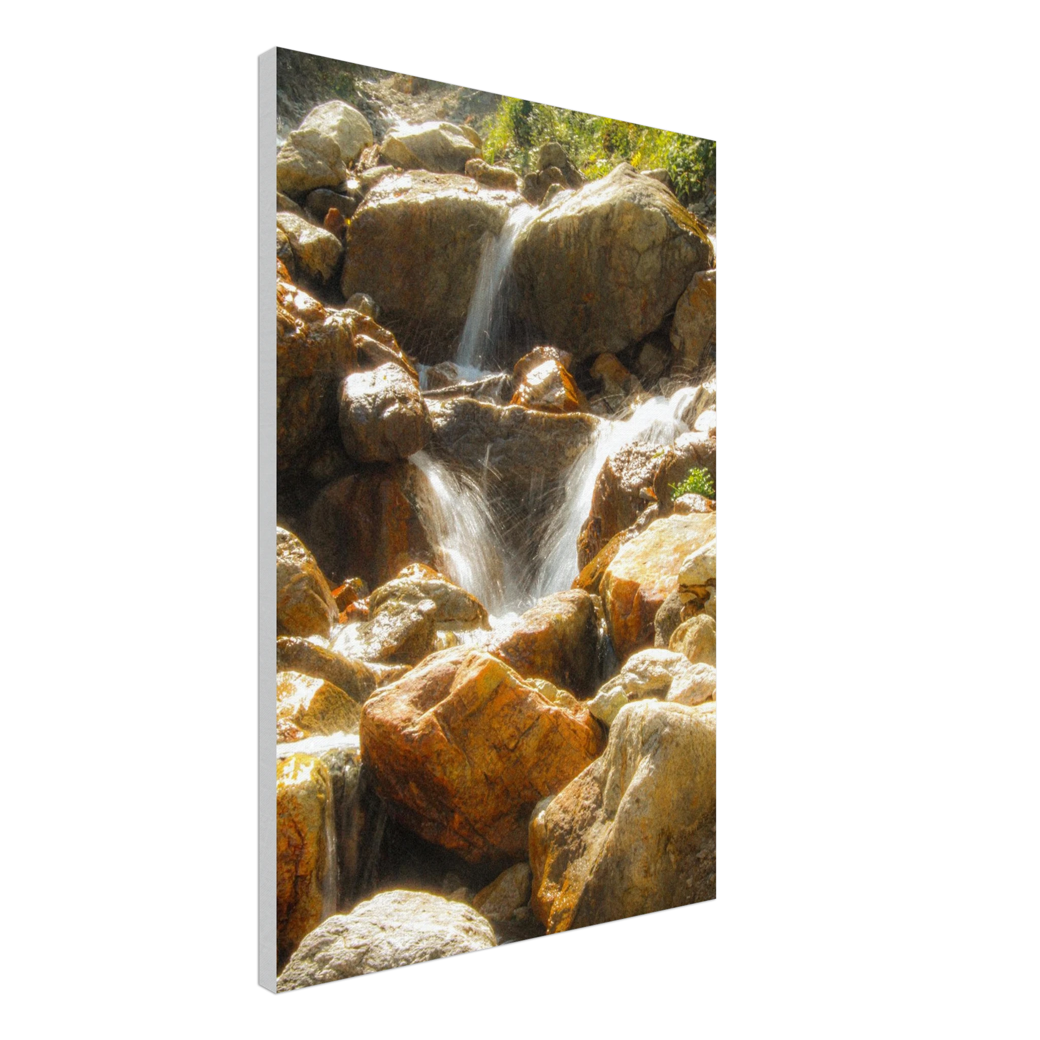 091bf22c-000c-4d19-809a-becd045fffe2