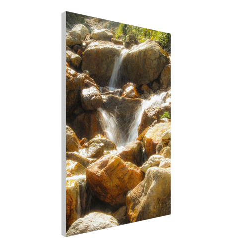 091bf22c-000c-4d19-809a-becd045fffe2