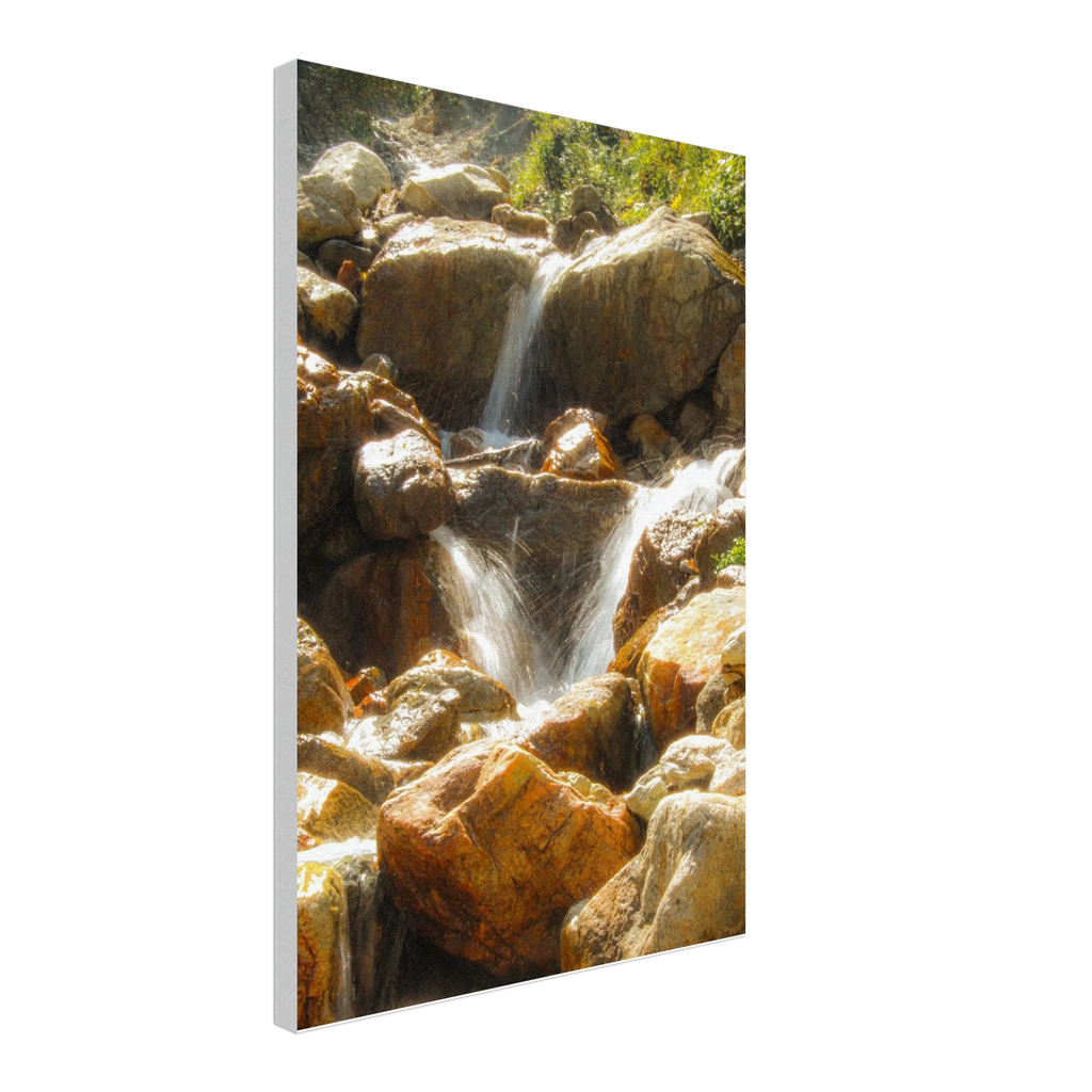 1353ec1c-6043-45fb-b60d-a895483d327f