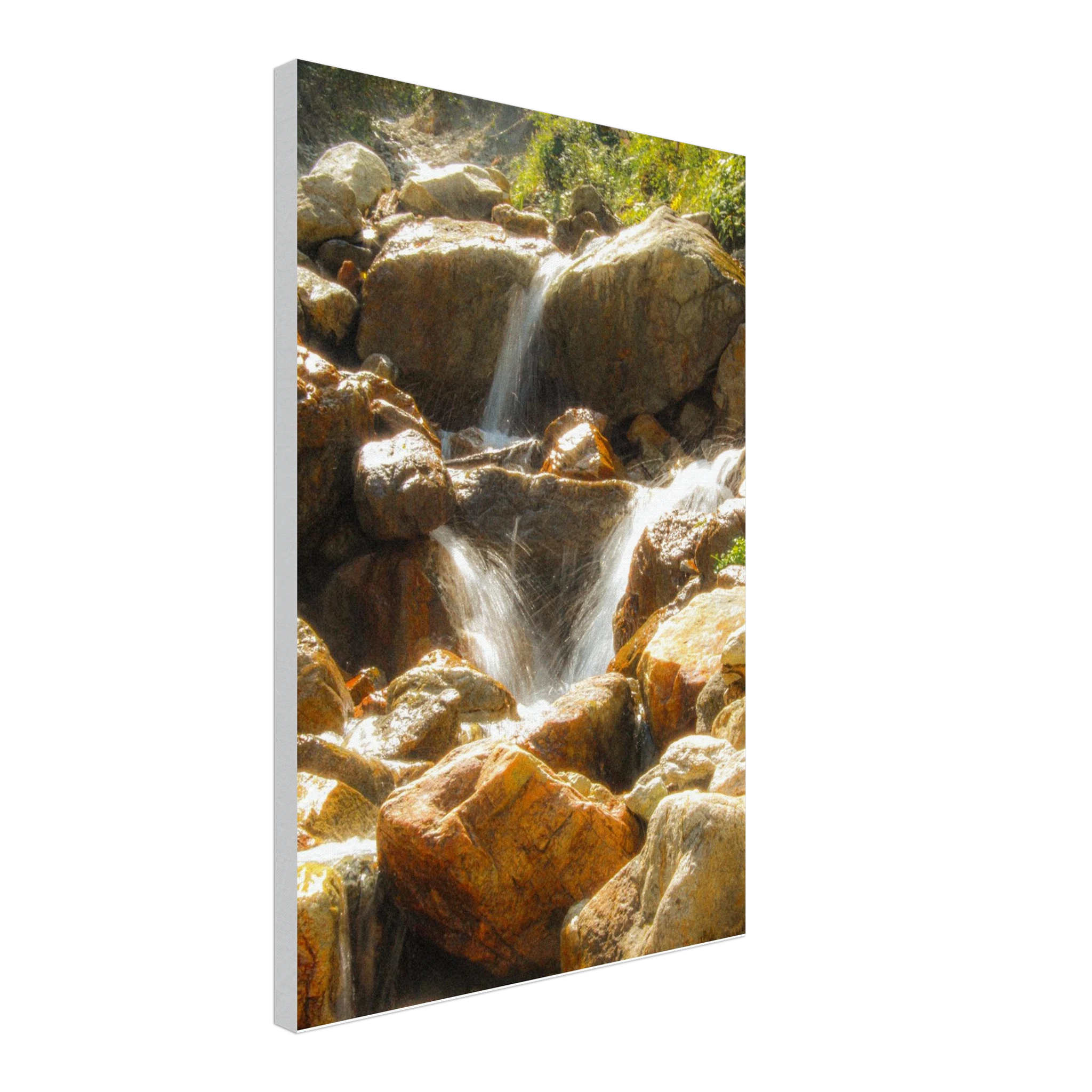 1353ec1c-6043-45fb-b60d-a895483d327f