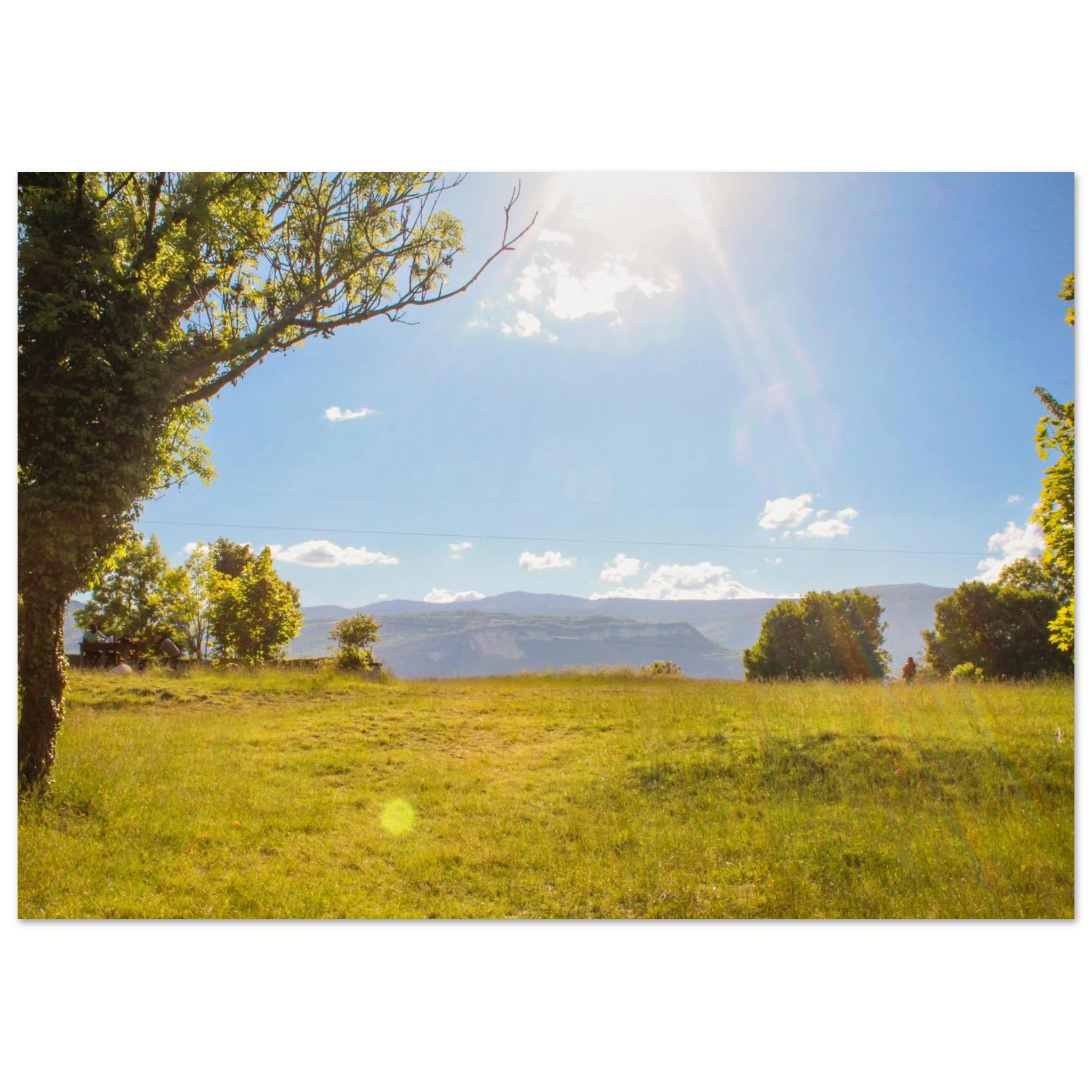 1ebd2df3-0443-4e32-ab19-77b256107874