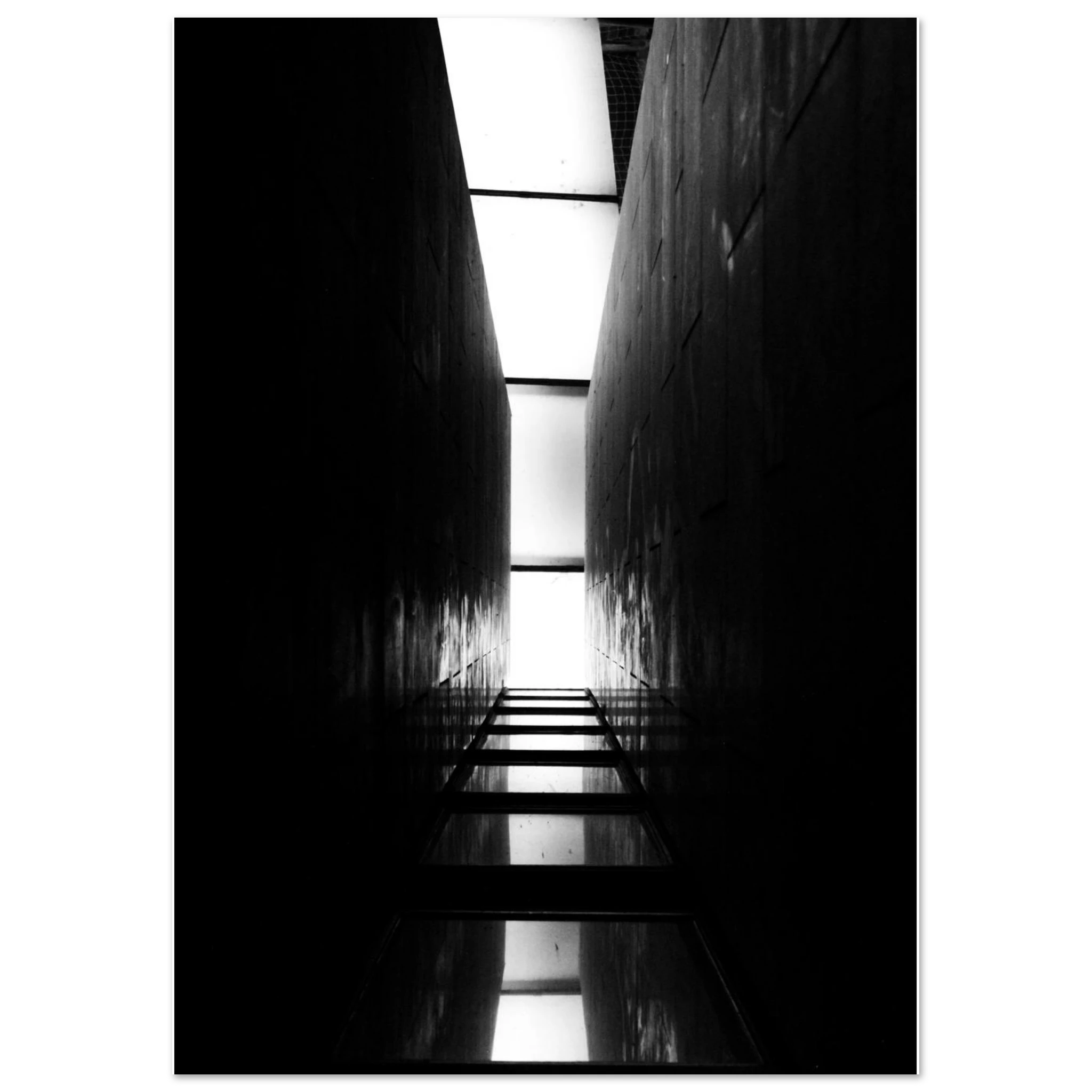 1f3055ca-a7b6-4f14-88ab-177c3d3227d5