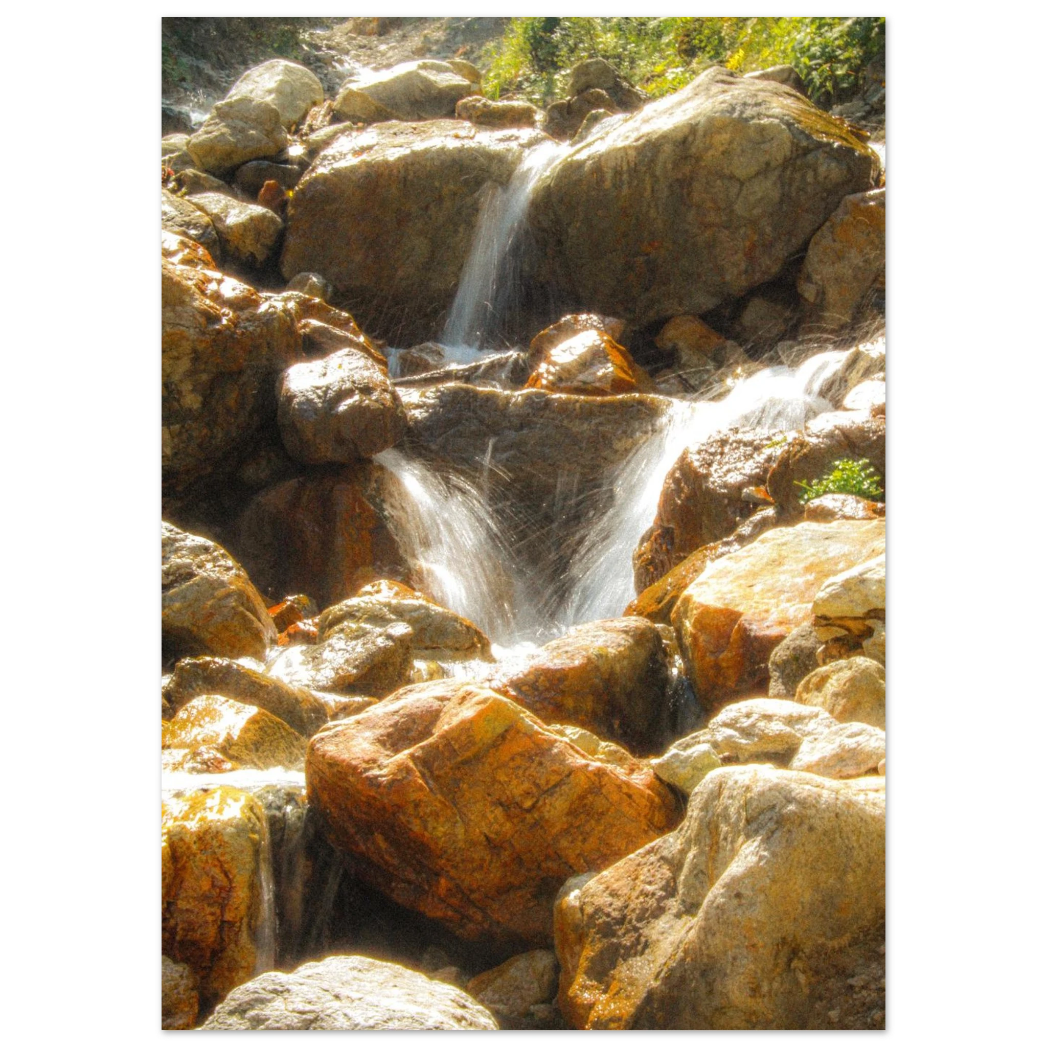 33da7096-3670-4cdd-86ea-d6b4473ad0aa