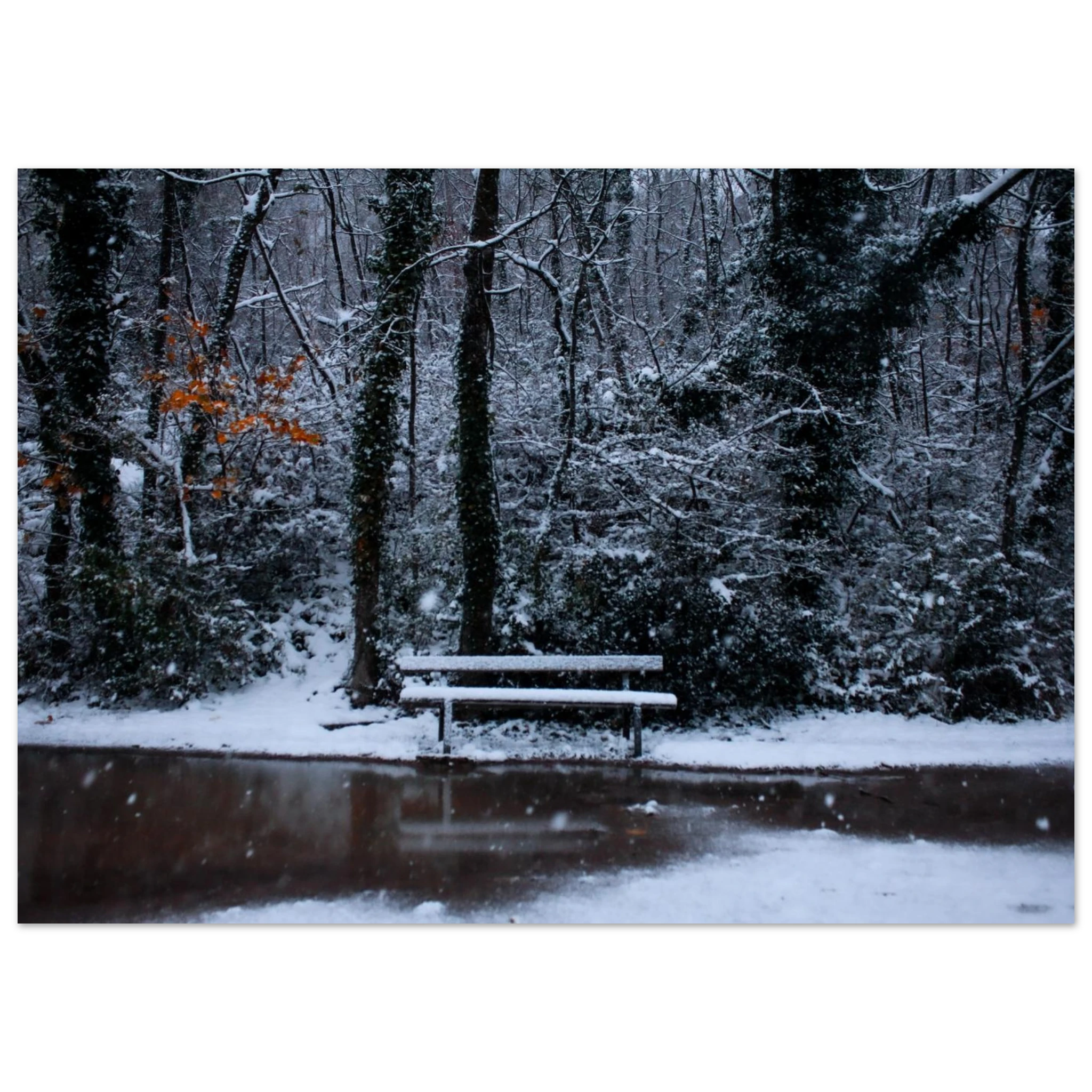 47c3953d-01ae-475d-9989-dc17a0884482