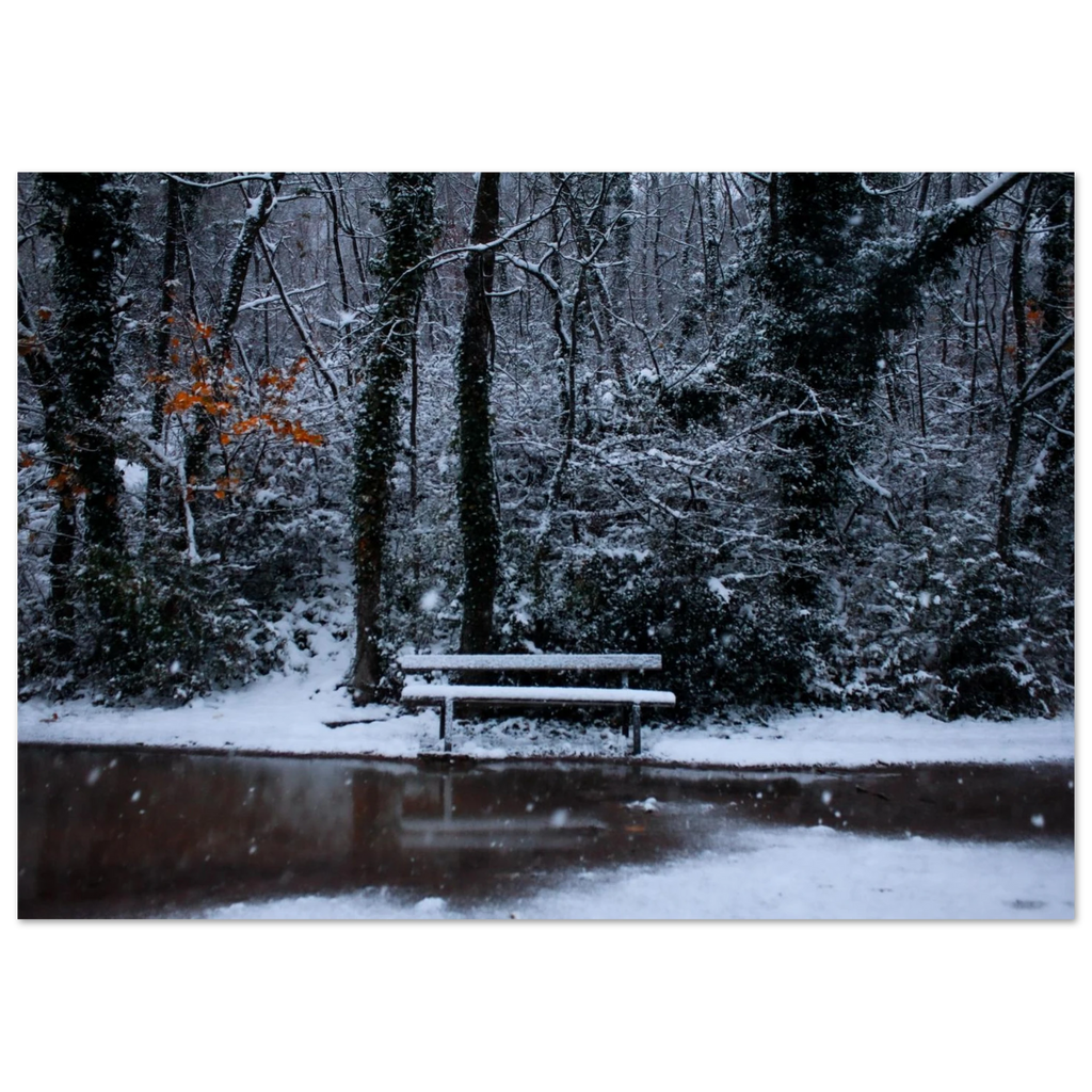 52d3153f-e9e4-45e4-a7e6-3e9fa8e5b1e8