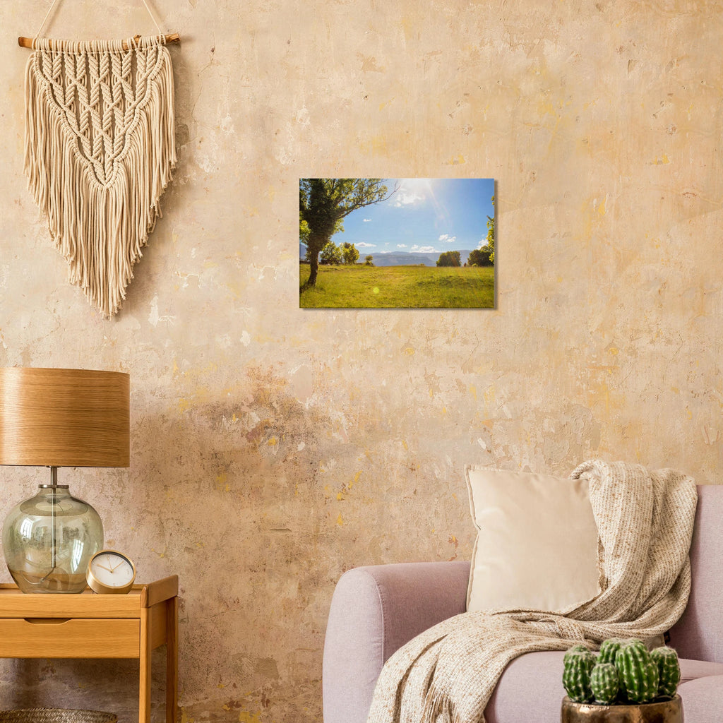 55ec8fc3-4f59-4c01-af32-cfa4b05b7507