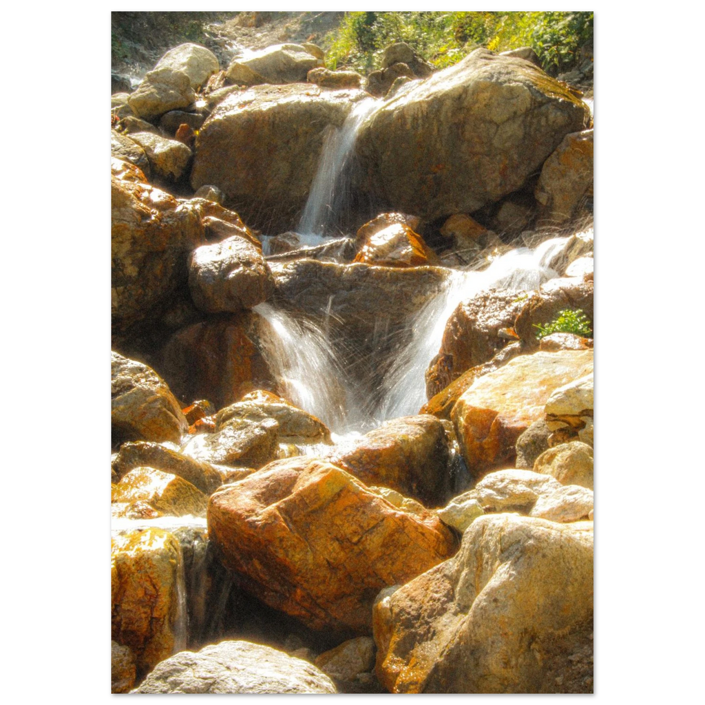 5f4cd400-8155-408a-89d2-13416d816c83