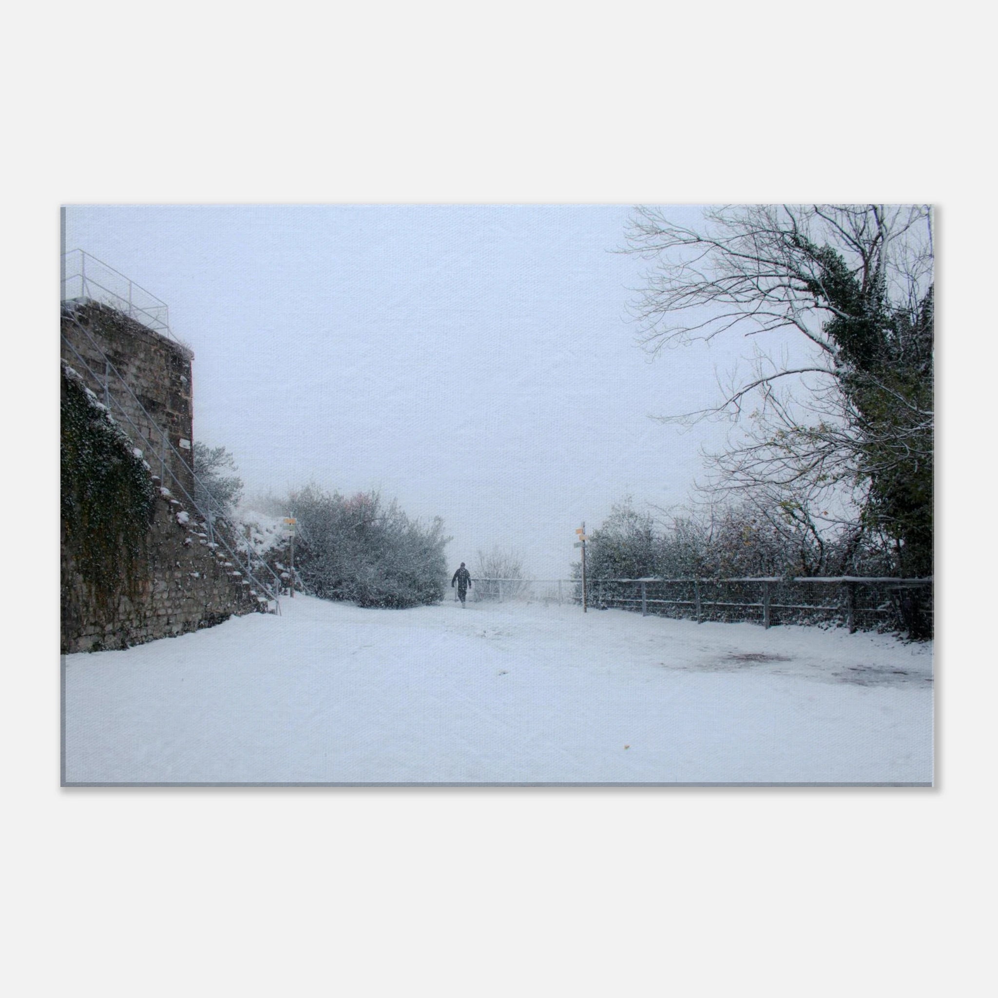 6d081c9c-caef-40ee-9be8-8b3a0da07ef7