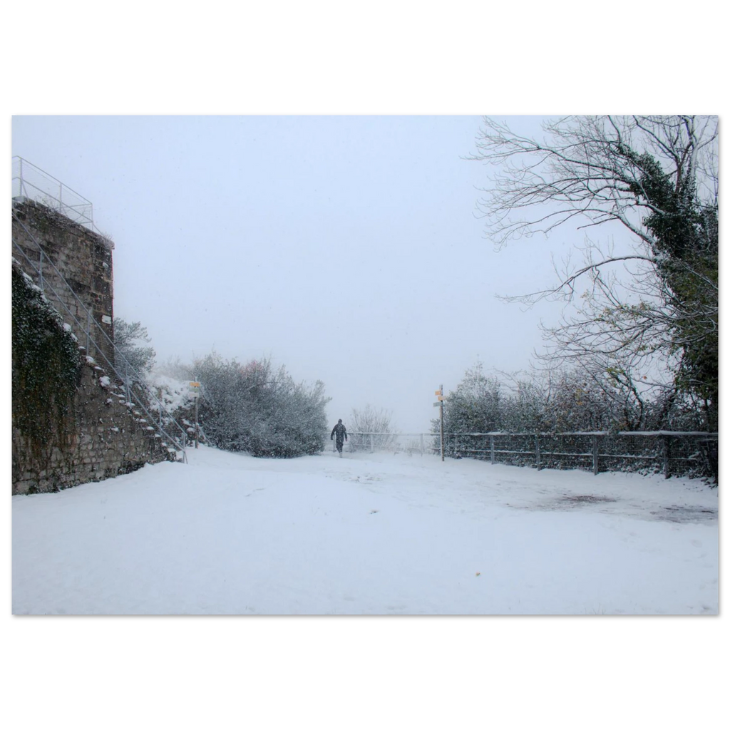 7d84c62f-2e6d-4351-88cb-91b26ed0b3ea