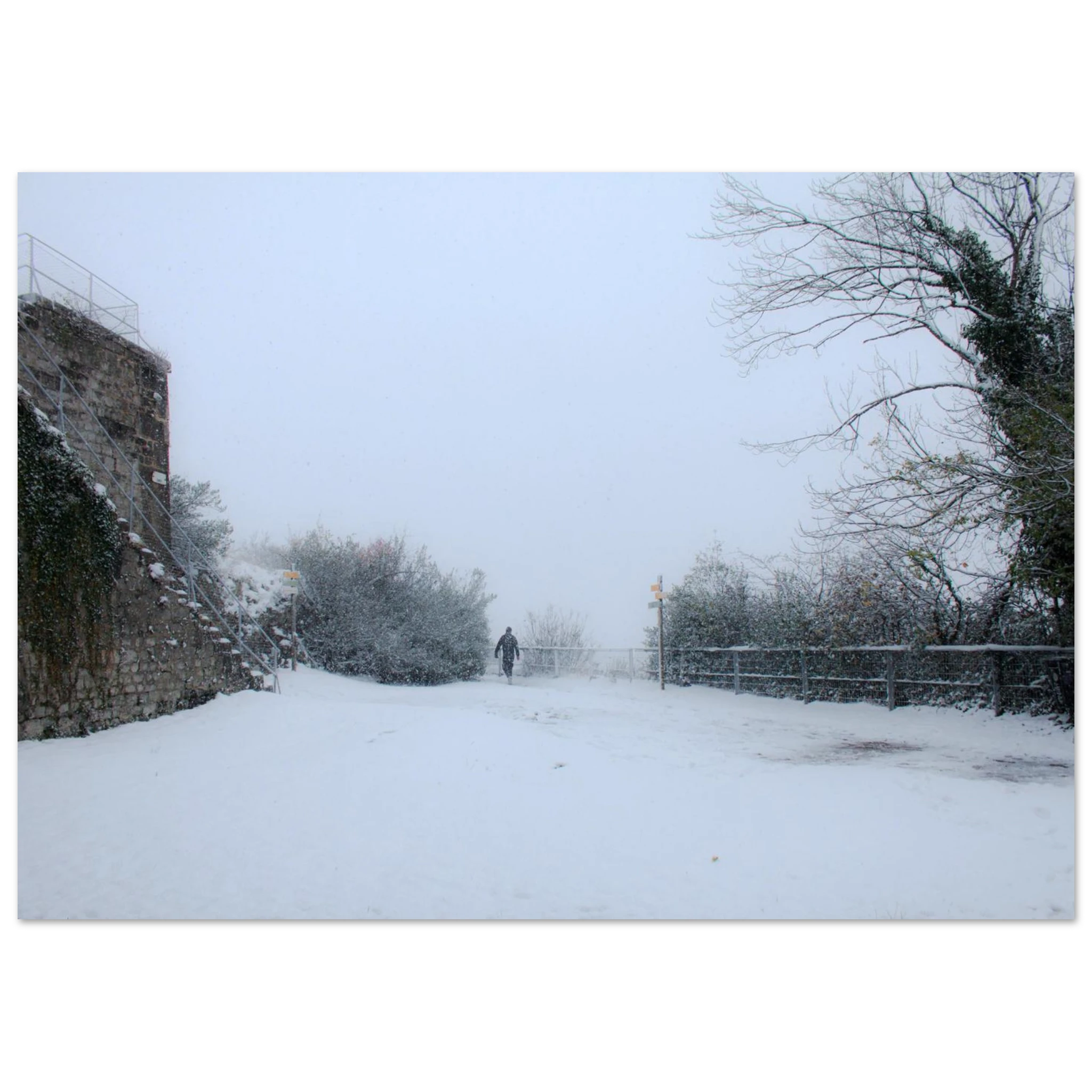 7d84c62f-2e6d-4351-88cb-91b26ed0b3ea