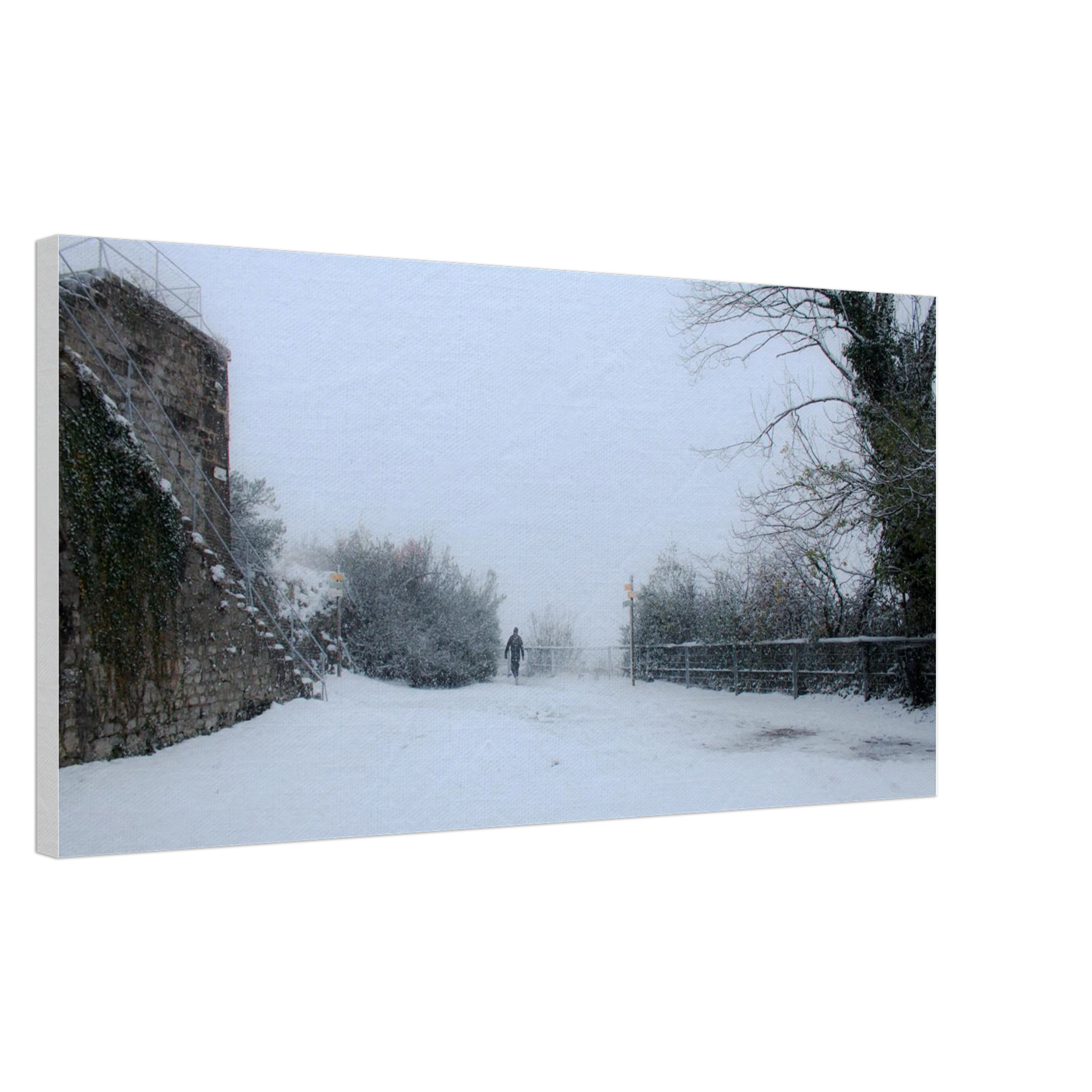 889156db-4a9e-40a0-bfa0-97632ca91bd8