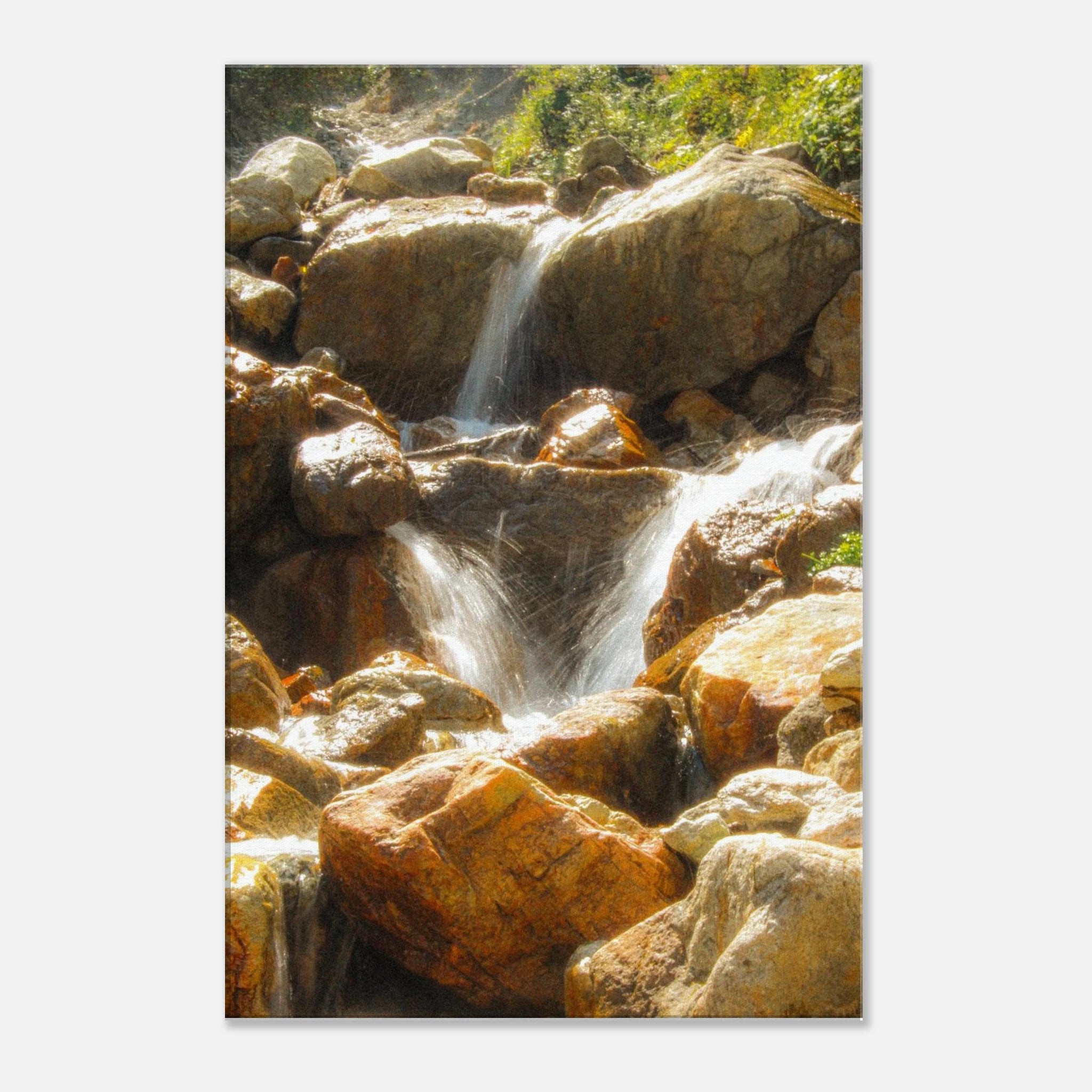 8c29f994-2e90-45a0-baae-58b9d5292674