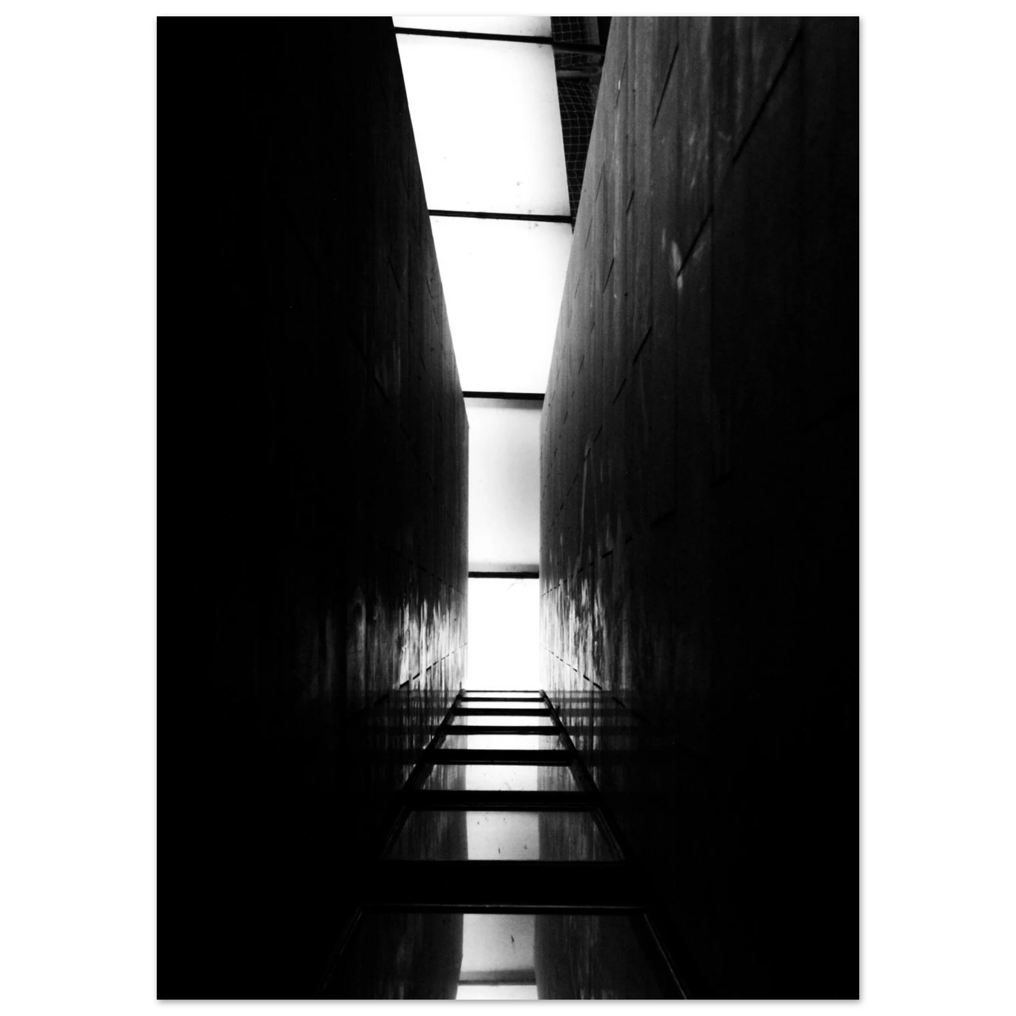 9a8516f5-3073-4c86-9844-942dbb8678bf