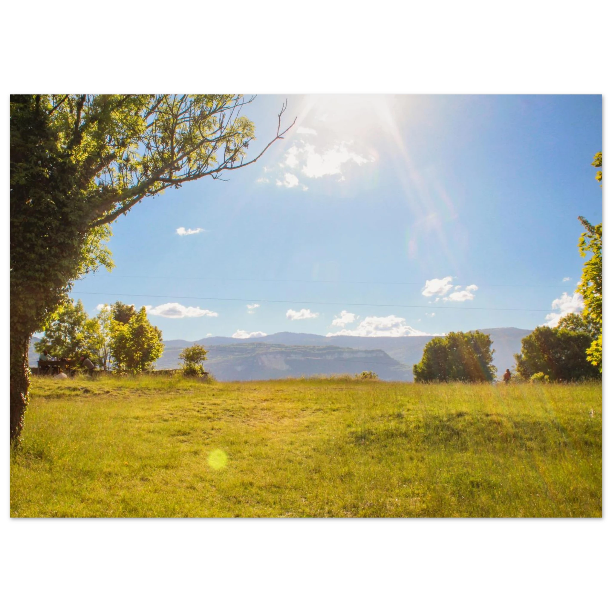 a6dc0dfa-af7a-442a-bf36-8aba8d966af2