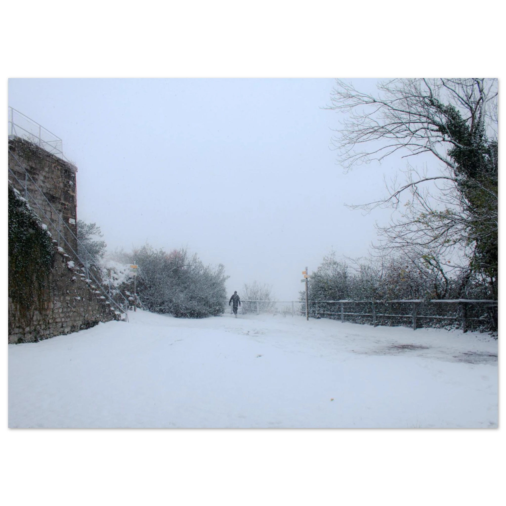 b0ace2a5-8806-48ec-a9d4-8036fcde22fb