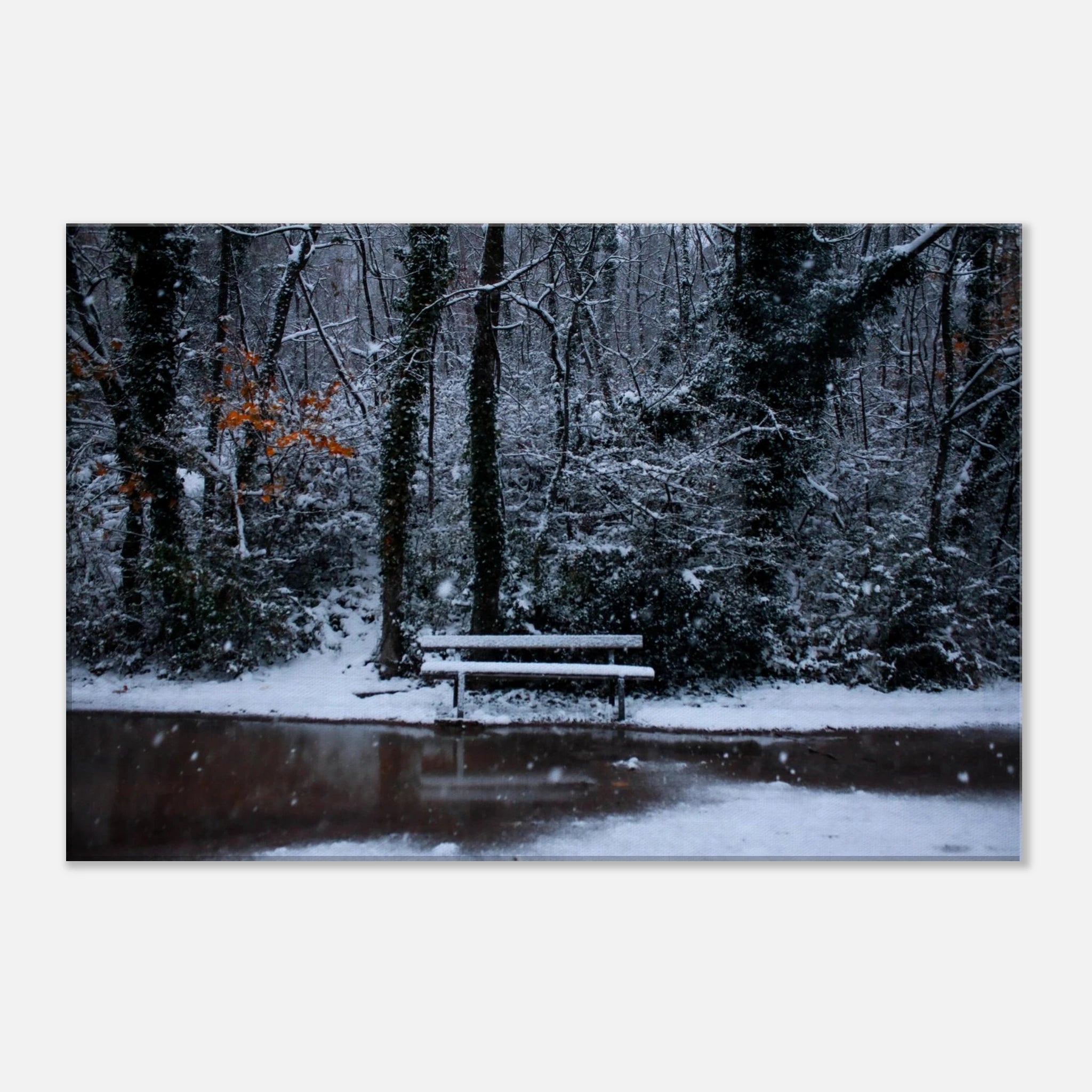 c1de9b8e-e554-4795-b0f7-946b15feb8c3