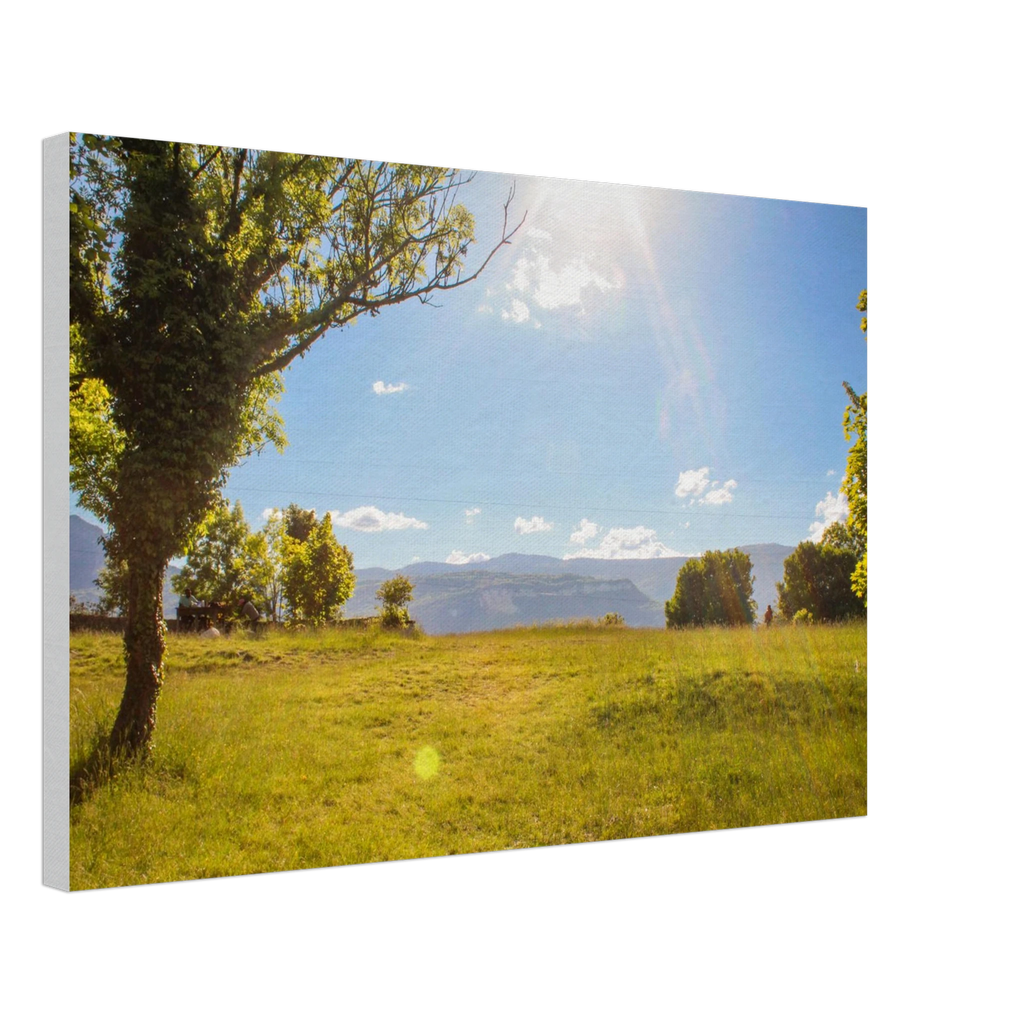 d00e9081-332b-4669-a2b3-05bed62c1b82