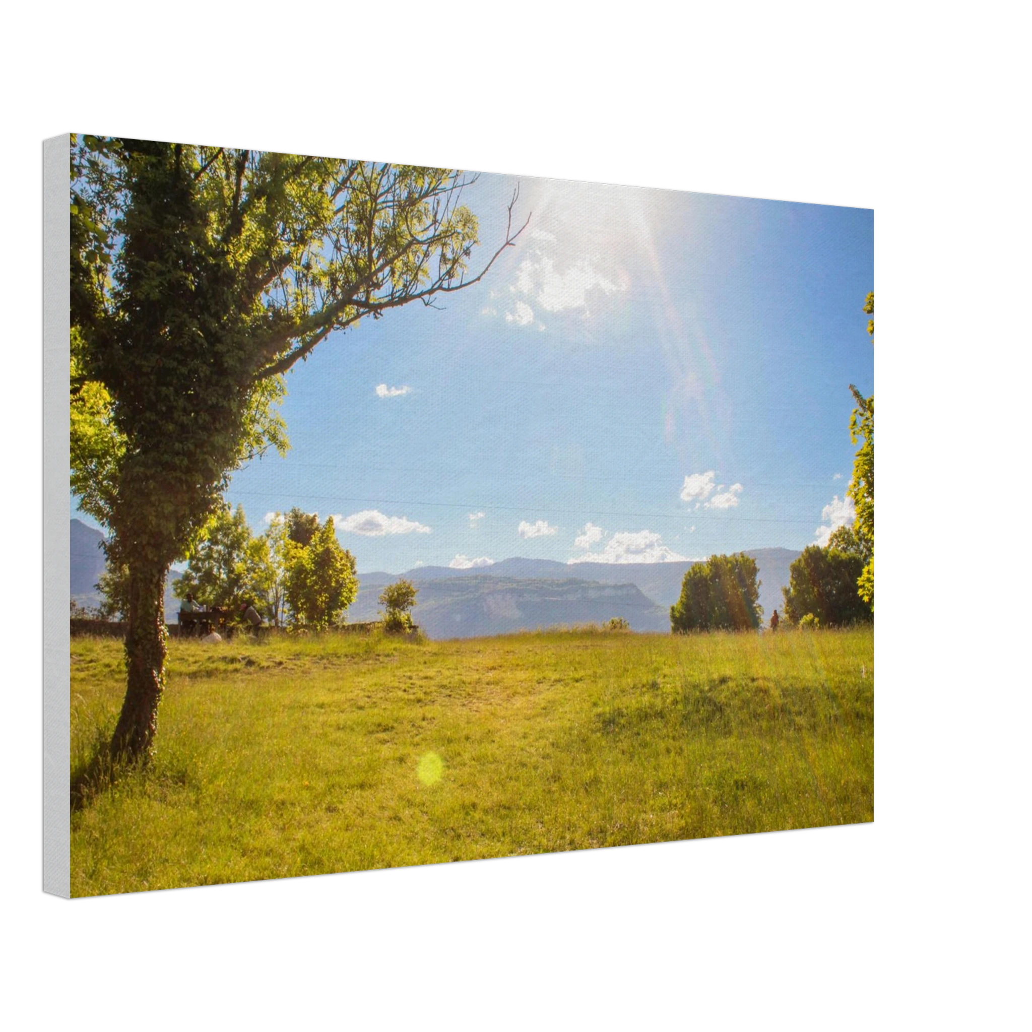 d00e9081-332b-4669-a2b3-05bed62c1b82