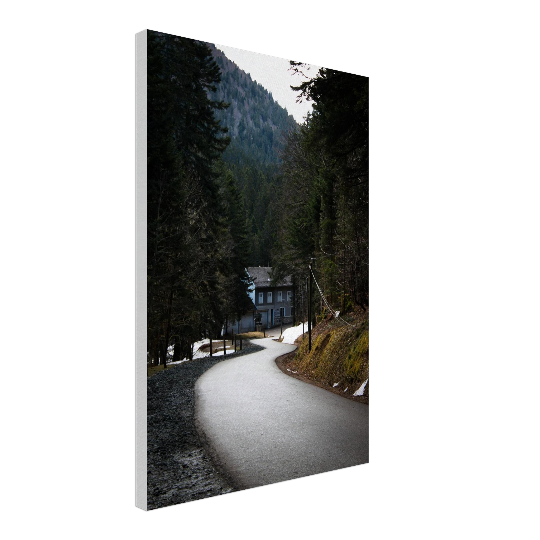 d5c7120d-dc3f-438a-b994-10eba6d0ee72