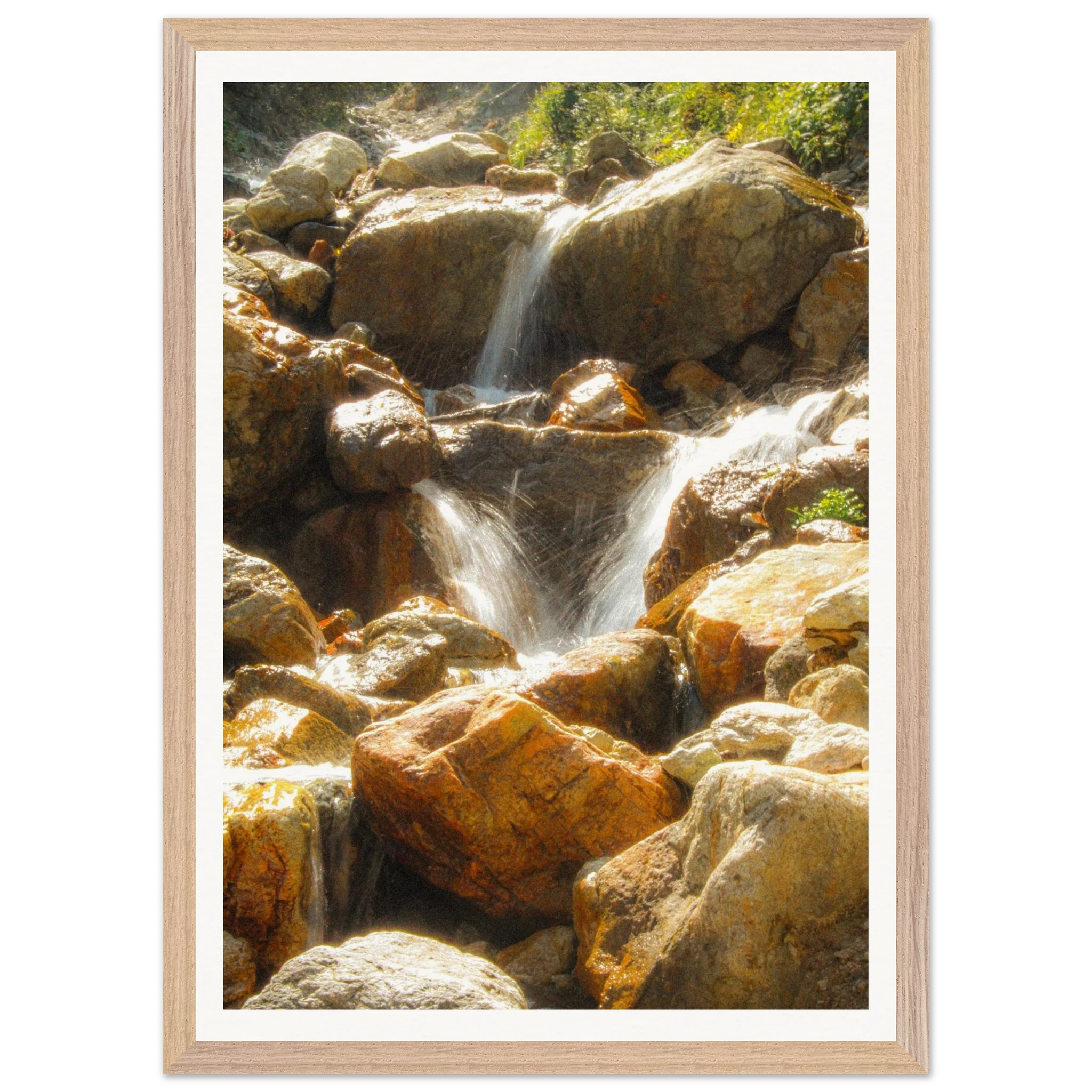 fef49890-d938-4790-bdfa-2db057f00169