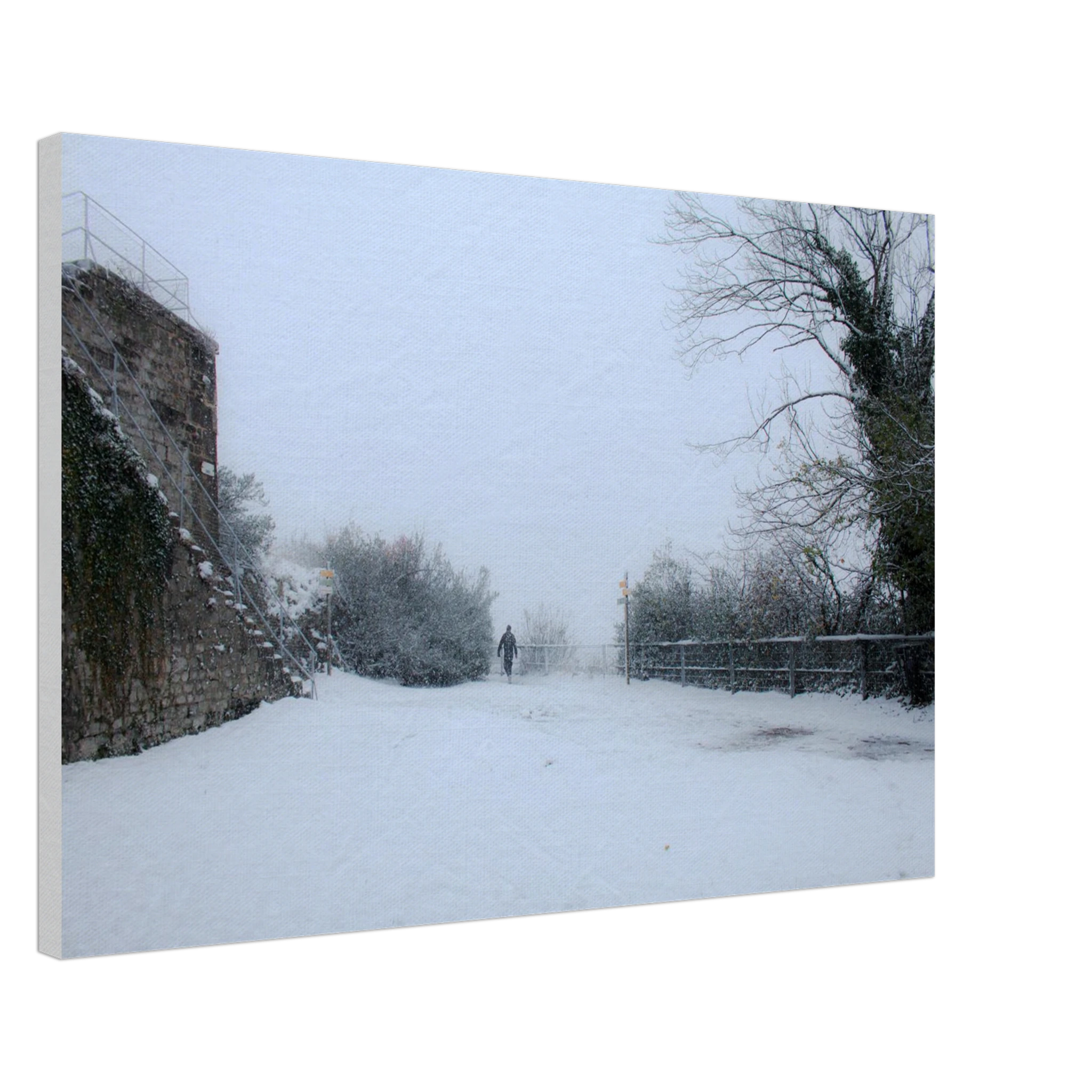 ff71cd1e-9956-4022-9e66-4eac702e7176